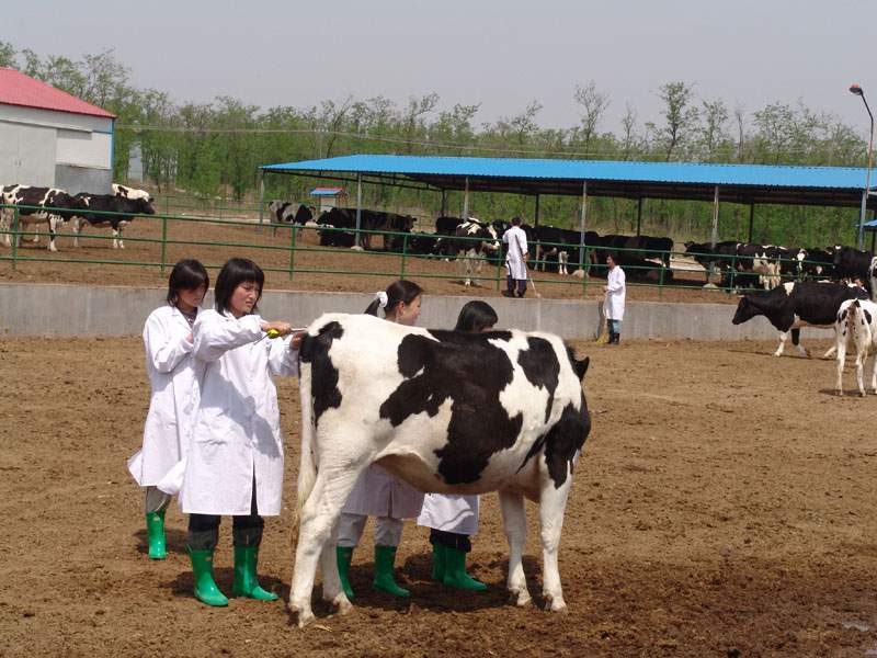 四川男孩子讀什么幼師學(xué)院