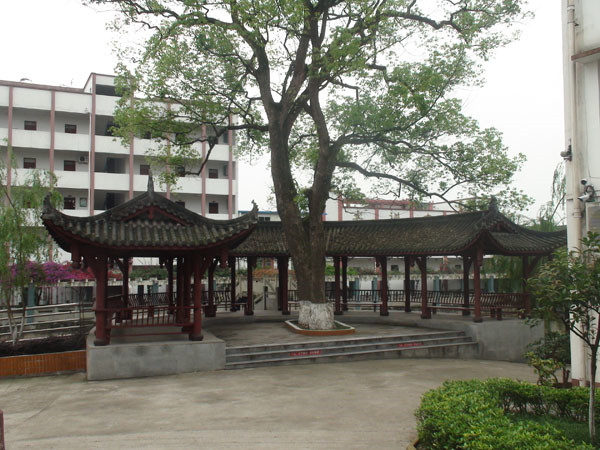 四川中專學(xué)校排名榜(四川排名前十的公立衛(wèi)校)