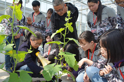 成都市中華衛(wèi)生學(xué)校如何、怎么樣圖2