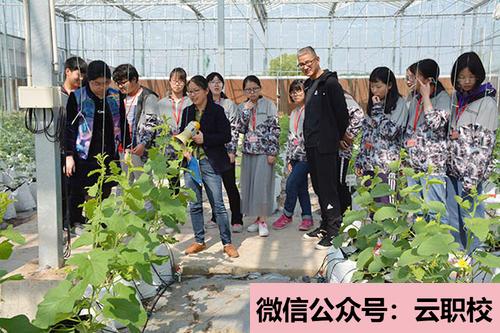 2021年特色幼兒園、幼教藝術(shù)企業(yè)、創(chuàng)意產(chǎn)業(yè)園、國(guó)際幼教集團(tuán)(幼兒教育(國(guó)家級(jí)非遺藝術(shù)班))