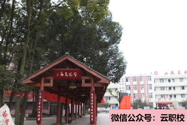 重慶市紅春藤技工學校怎么樣?(重慶沙坪壩區(qū)2021年現(xiàn)在讀什么衛(wèi)校好)