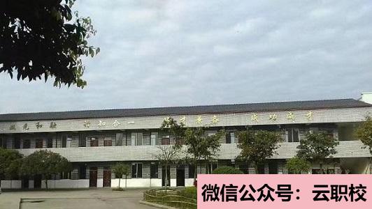 重慶沙坪壩區(qū)學(xué)校報(bào)名條件(重慶沙坪壩區(qū)2021年200分能上衛(wèi)校嗎)圖2