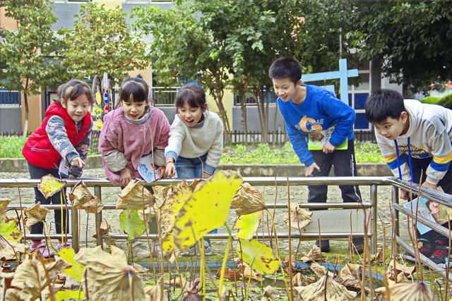 新都一中實(shí)驗(yàn)學(xué)校(新都一中實(shí)驗(yàn)學(xué)校老師名單)