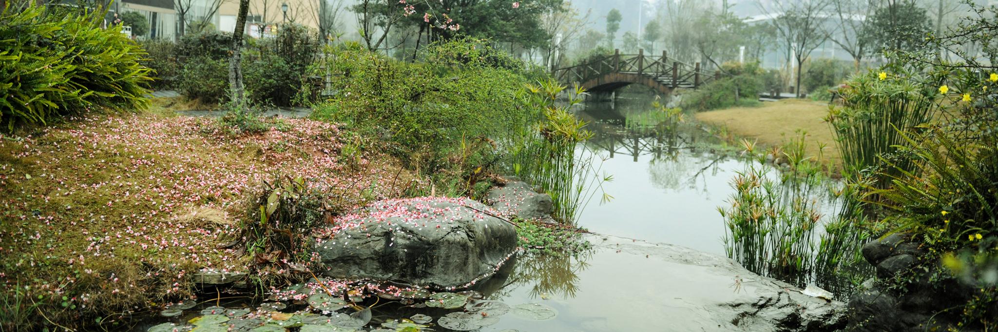 達縣師范專科學(xué)校(達縣師范?？茖W(xué)校有哪些專業(yè))