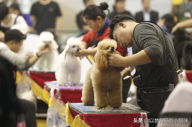 女孩子初三畢業(yè)讀什么專業(yè)好(初三畢業(yè)的女孩子學(xué)點(diǎn)什么好)圖3