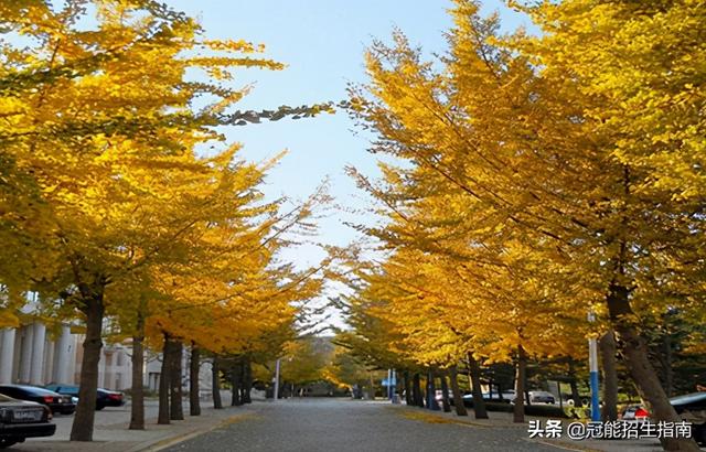 成都職業(yè)高中有哪些公辦學校(沈陽職業(yè)高中公辦學校有哪些)圖3