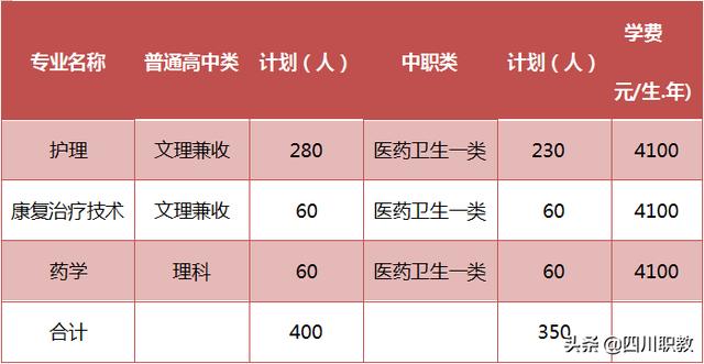 四川護理職業(yè)學(xué)校官網(wǎng)的簡單介紹