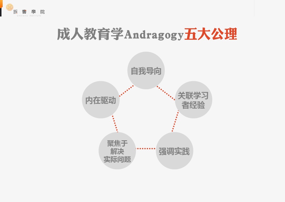 成人學設計應該去哪里學(成人美術培訓去哪里學)