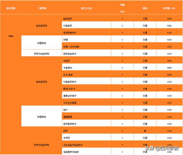 雅安護理學校(雅安檔案學校)