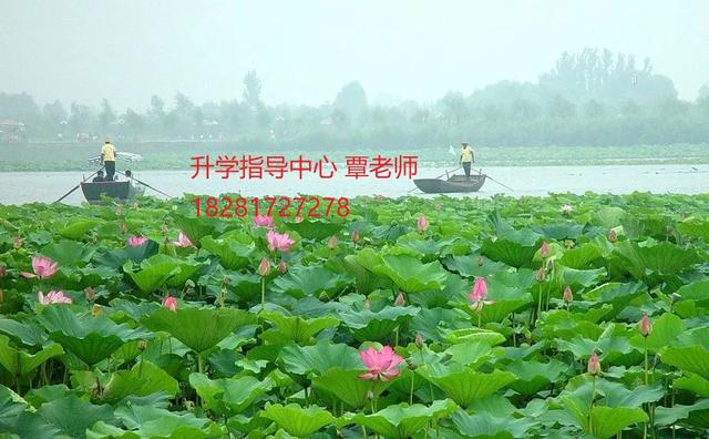 成都華夏旅游學(xué)校怎么樣(成都航空旅游學(xué)校怎么樣)