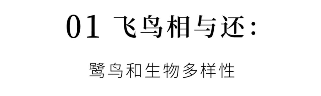 成都希望職業(yè)技術(shù)學(xué)校官網(wǎng)(成都航空職業(yè)技術(shù)學(xué)校招生官網(wǎng))